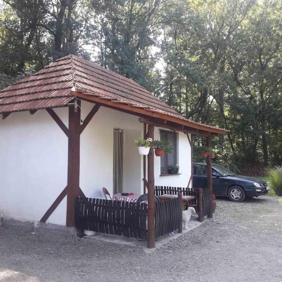 Sljivik Guest House Nis Exterior photo