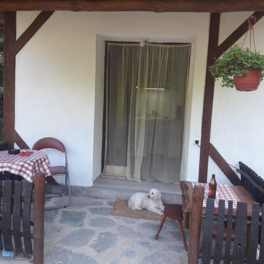 Sljivik Guest House Nis Exterior photo